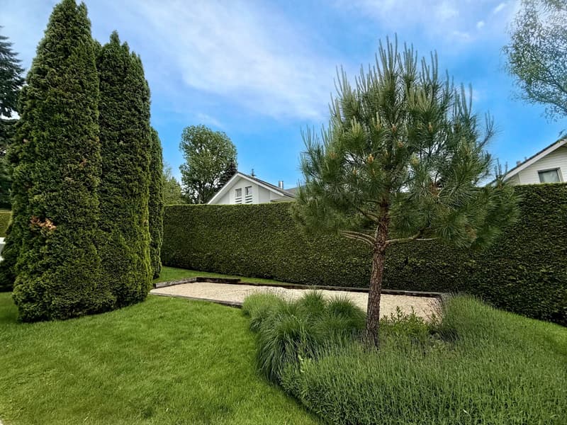 Grande villa contemporaine de 500m², piscine, calme, vue sur le Jura (4)
