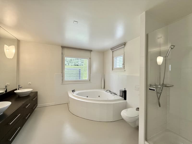 Grande villa contemporaine de 500m², piscine, calme, vue sur le Jura (10)