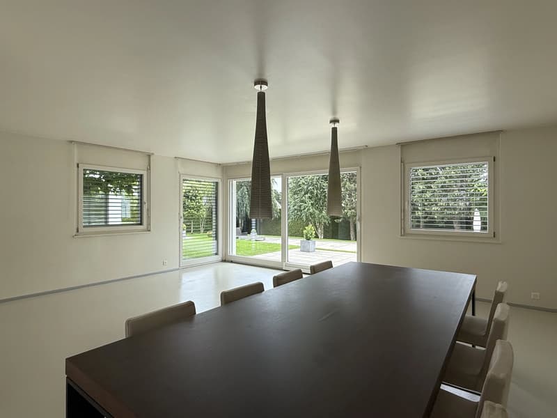 Grande villa contemporaine de 500m², piscine, calme, vue sur le Jura (7)