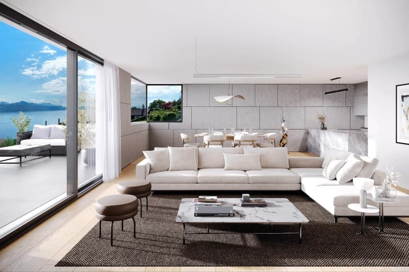 RARE. Appartement panoramique sans nuisance ! (3)