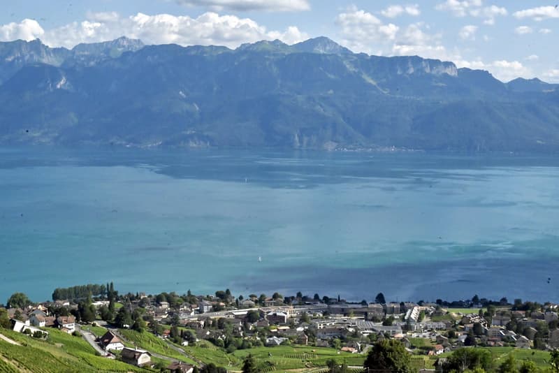RARE. Appartement panoramique sans nuisance ! (1)