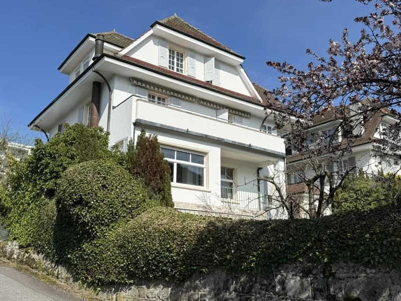 Maison d'Exception à Lausanne (3)