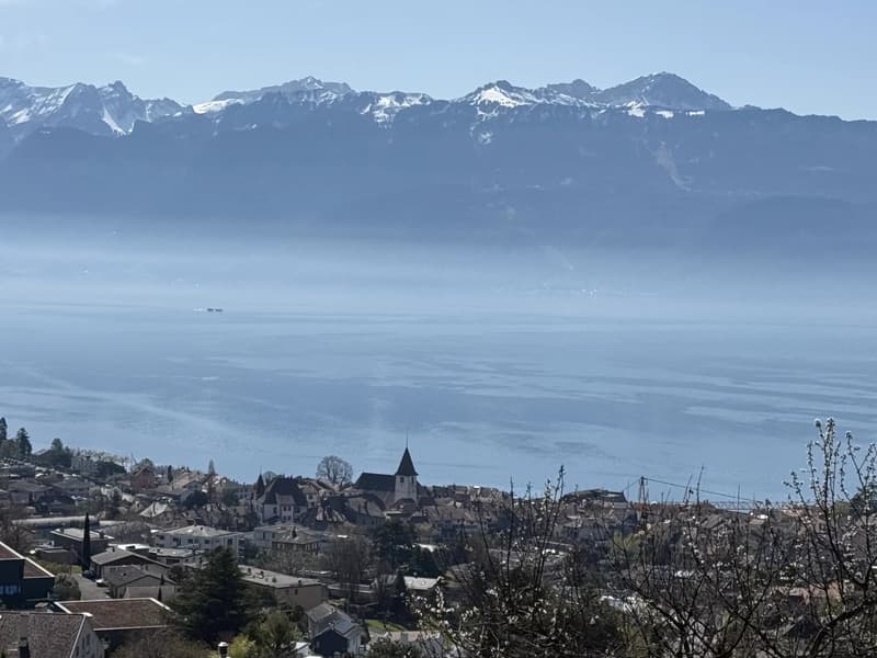 Villa panoramique, proche des écoles et transports, calme (1)