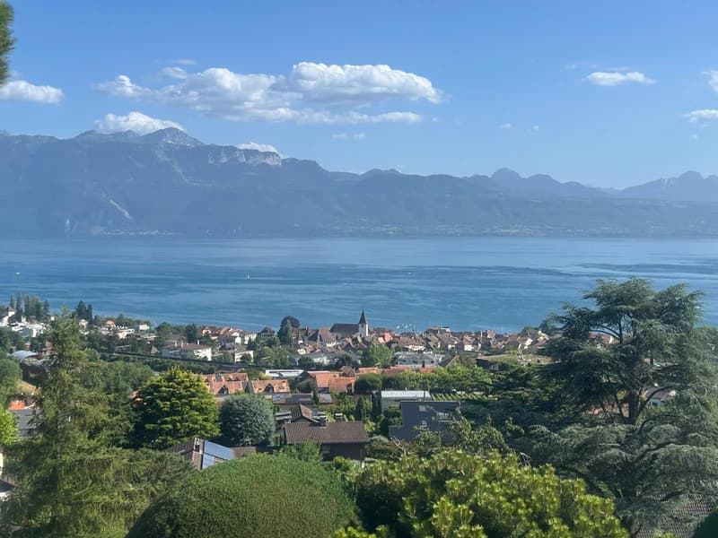 Le lac, les vignes et Lutry à vos pieds! (8)