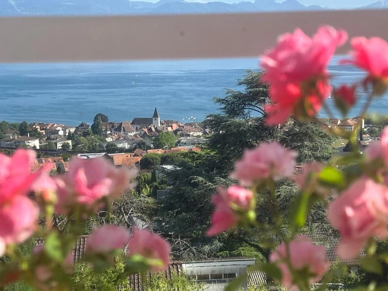Le lac, les vignes et Lutry à vos pieds! (9)