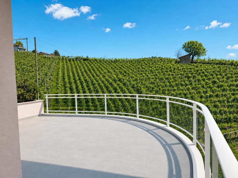 Le lac, les vignes et Lutry à vos pieds! (12)
