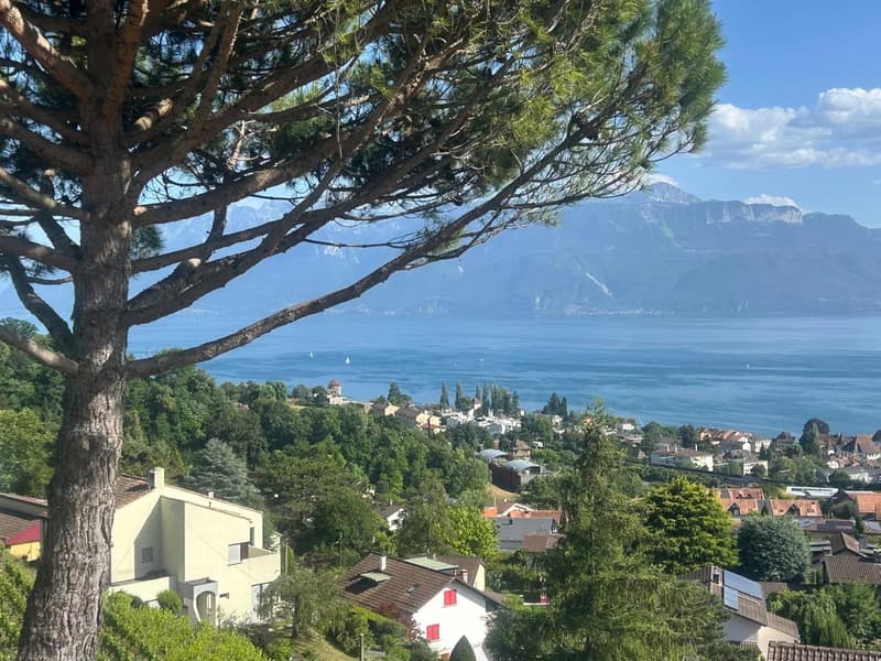 Le lac, les vignes et Lutry à vos pieds! (7)