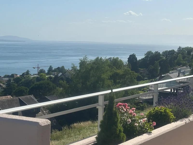 Le lac, les vignes et Lutry à vos pieds! (10)