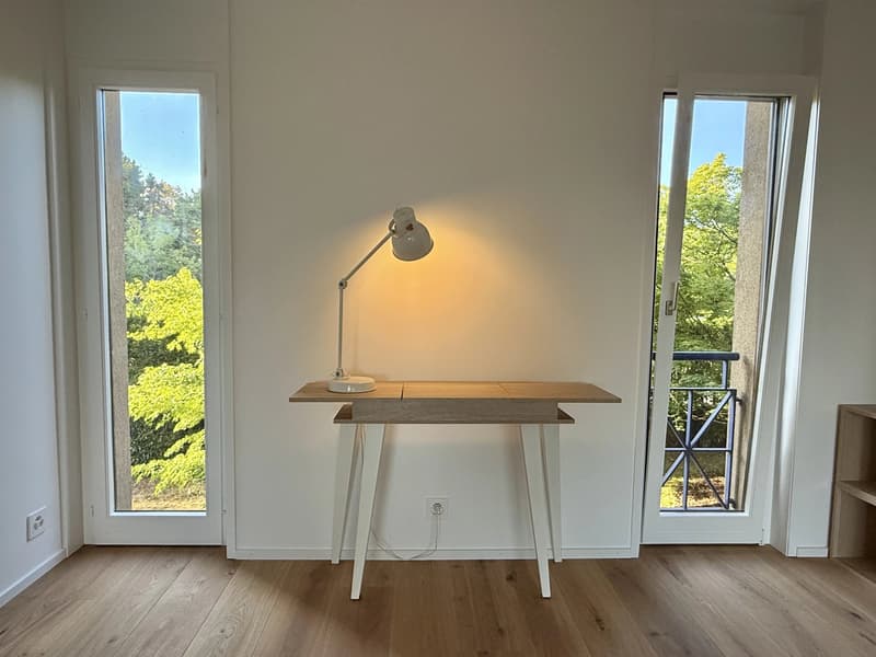 Appartement central, meublé et rénové haut de gamme, proche de TOUT et l'EPFL (6)