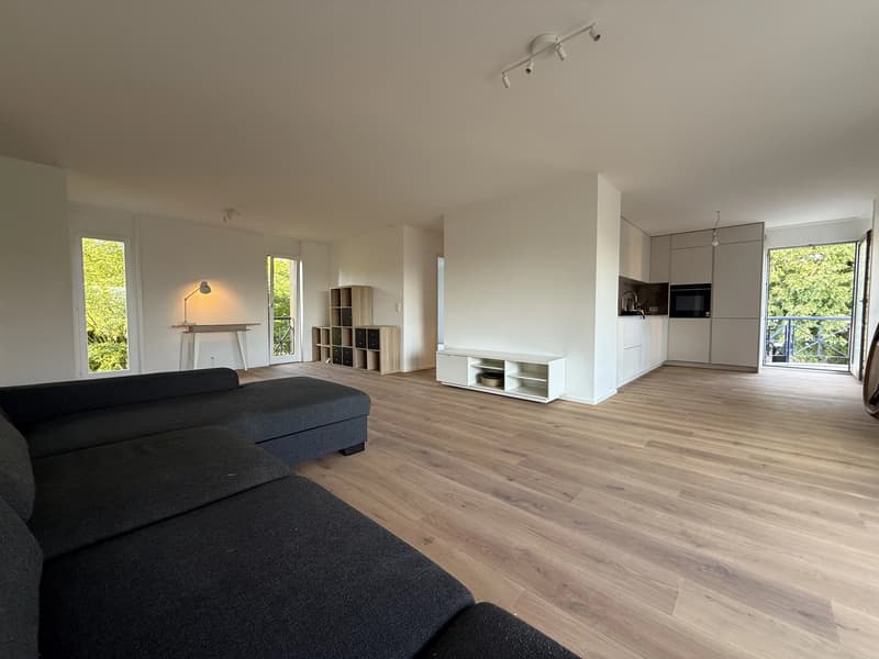 Appartement central, meublé et rénové haut de gamme, proche de TOUT et l'EPFL (1)