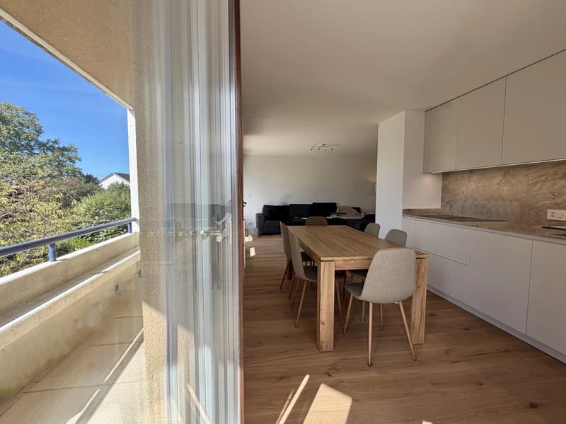 Appartement central, meublé et rénové haut de gamme, proche de TOUT et l'EPFL (9)