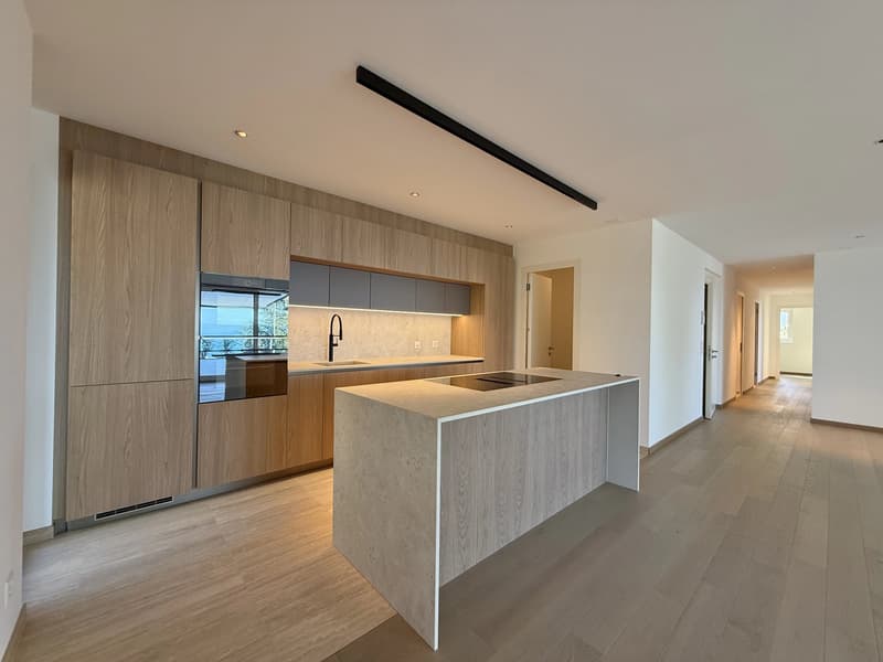 Dernier appartement disponible avec magnifique vue sur lac et les Alpes (4)