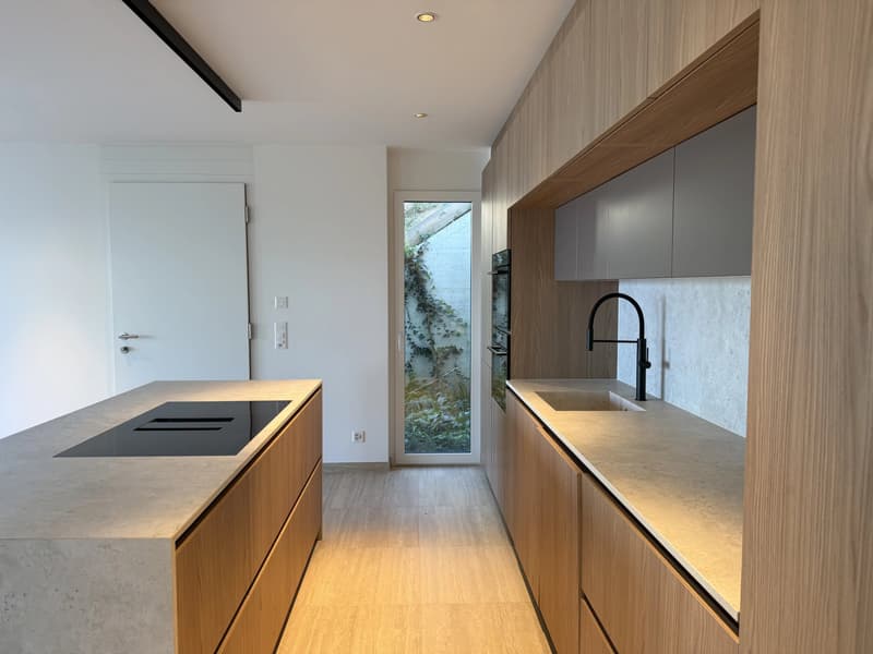 Dernier appartement disponible avec magnifique vue sur lac et les Alpes (6)
