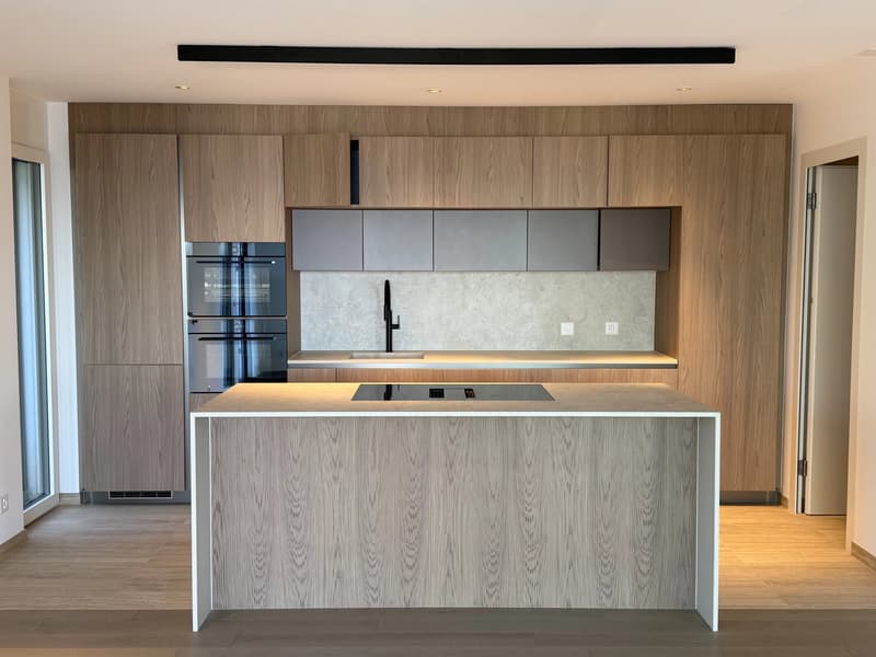 Dernier appartement disponible avec magnifique vue sur lac et les Alpes (5)