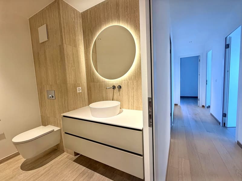 Dernier appartement disponible avec magnifique vue sur lac et les Alpes (10)