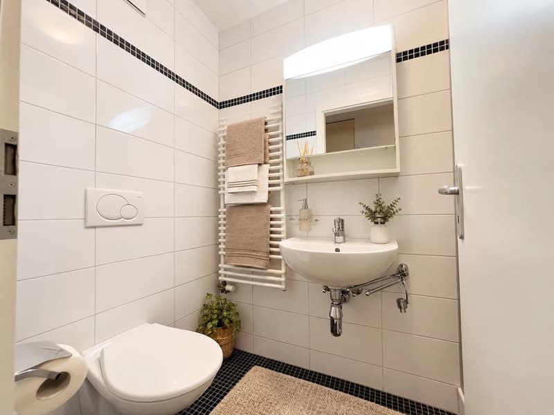 Appartement 5,5 pièces entièrement meublé à deux pas du lac (4)