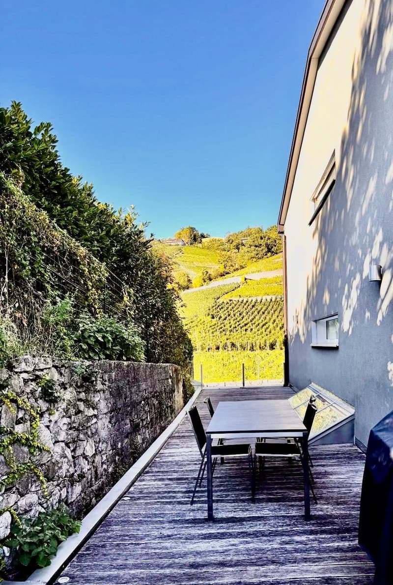 Appartement de standing avec vue imprenable à Lutry (2)