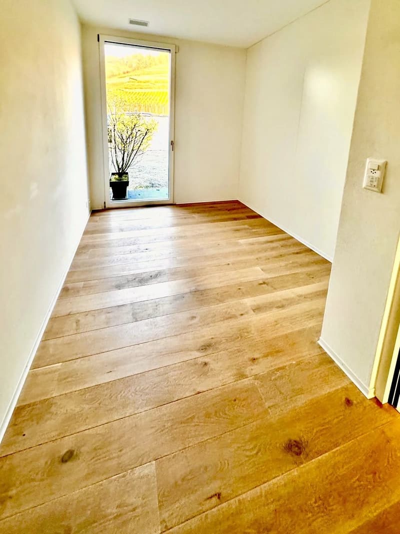 Appartement de standing avec vue imprenable à Lutry (10)