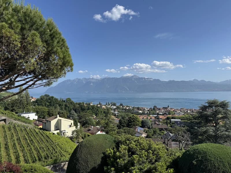 Appartement d'exception avec vue panoramique à Lutry (8)