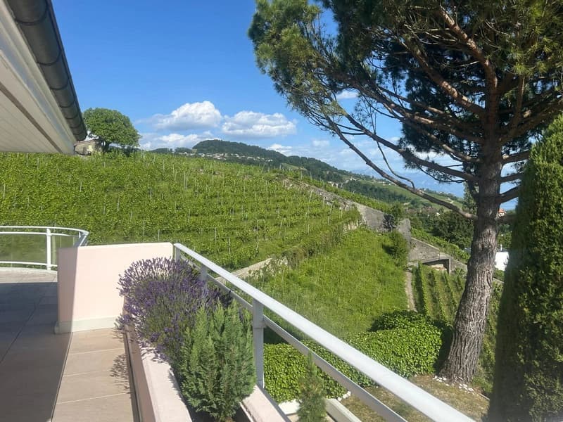 Appartement d'exception avec vue panoramique à Lutry (7)