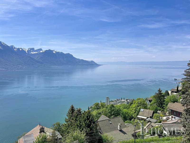 Propriété d'exception - Vue panoramique sur le lac et les montagnes (11)