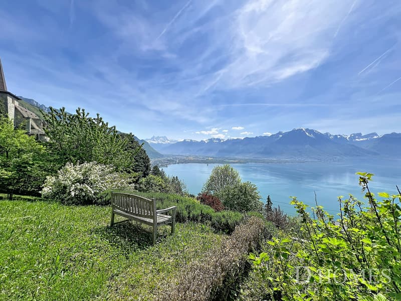 Propriété d'exception - Vue panoramique sur le lac et les montagnes (2)