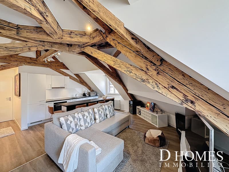 EN EXCLUSIVITÉ - Appartement style loft rénové au centre d'Aubonne (6)