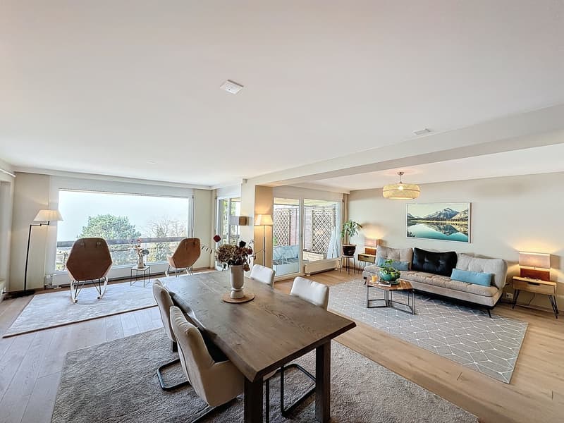Magnifique appartement de 3,5 pièces avec vue lac (1)