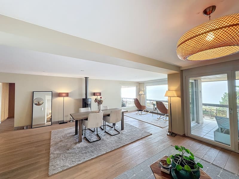 Magnifique appartement de 3,5 pièces avec vue lac (3)