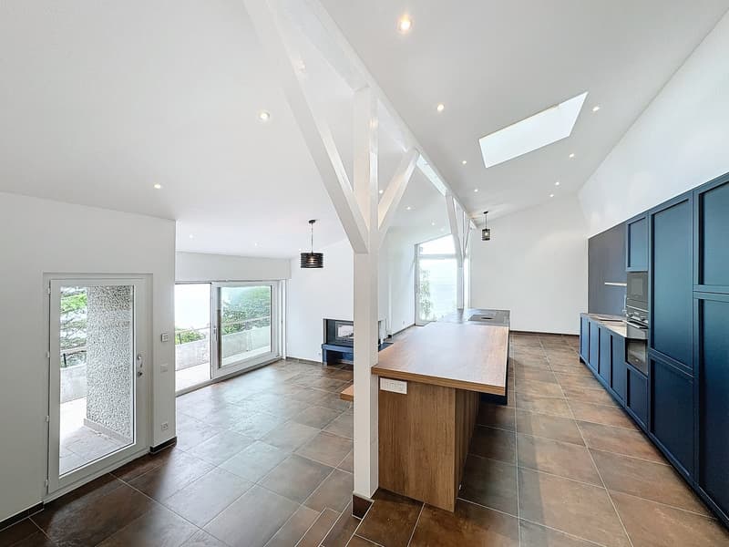 Situation unique - Magnifique villa rénovée avec jardin et vue lac (1)
