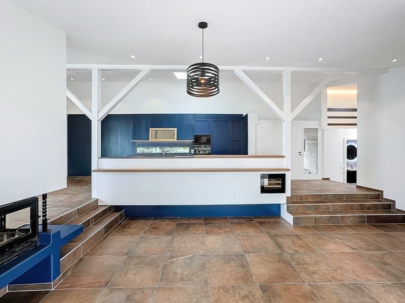 Situation unique - Magnifique villa rénovée avec jardin et vue lac (7)