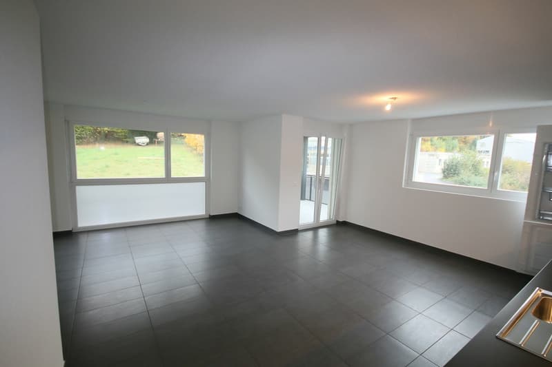 Appartement 3,5 pièces Moderne et Lumineux (2)