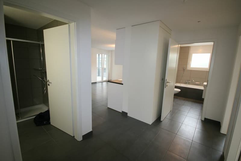 Appartement 3,5 pièces Moderne et Lumineux (5)