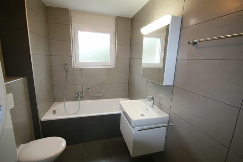 Appartement 3,5 pièces Moderne et Lumineux (8)