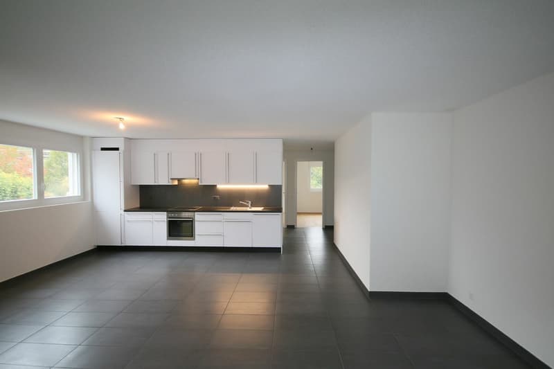 Appartement 3,5 pièces Moderne et Lumineux (4)