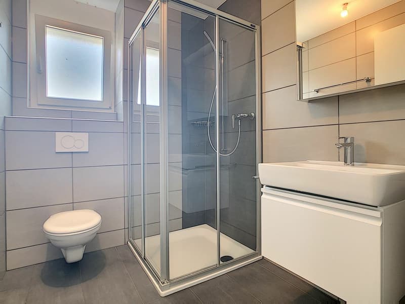 Appartement 3,5 pièces Moderne et Lumineux (9)