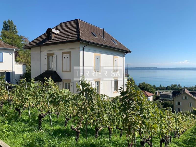 Neuchâtel, vue sur le lac : Propriété individuelle avec terrain (1)