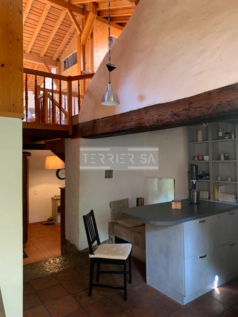 Magnifique propriété de caractère composée de trois duplex rénovés (6)