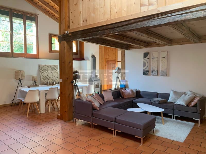Magnifique propriété de caractère composée de trois duplex rénovés (4)