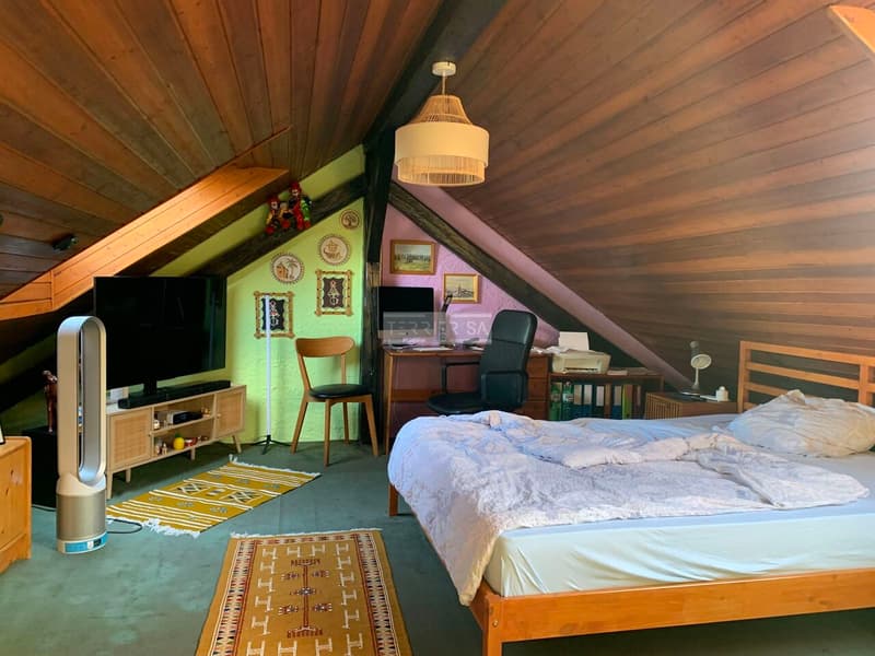 Immeuble de rendement avec 3 appartements, bureau, garage/hangar et jardin (11)
