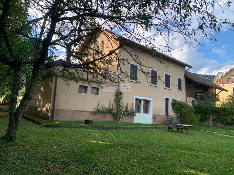 Immeuble de rendement avec 3 appartements, bureau, garage/hangar et jardin (2)