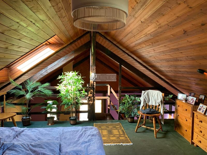 Immeuble de rendement avec 3 appartements, bureau, garage/hangar et jardin (10)