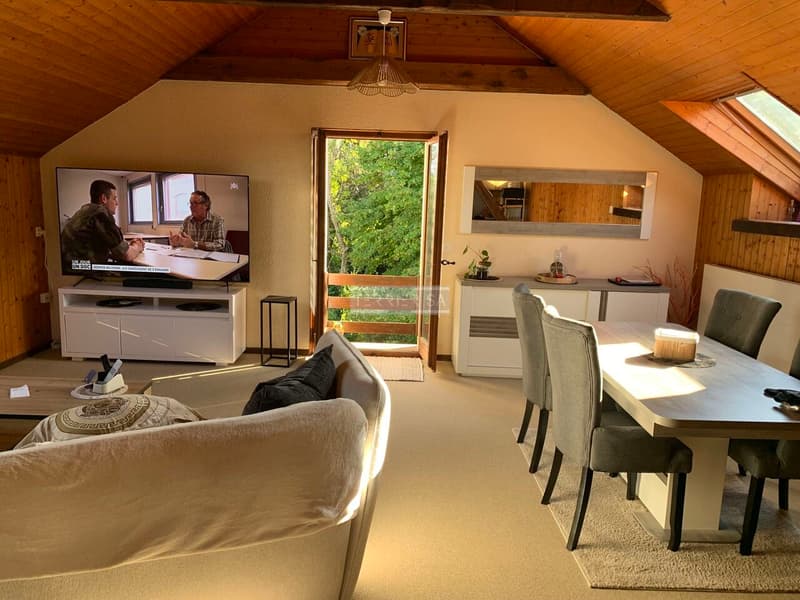 Immeuble de rendement avec 3 appartements, bureau, garage/hangar et jardin (13)