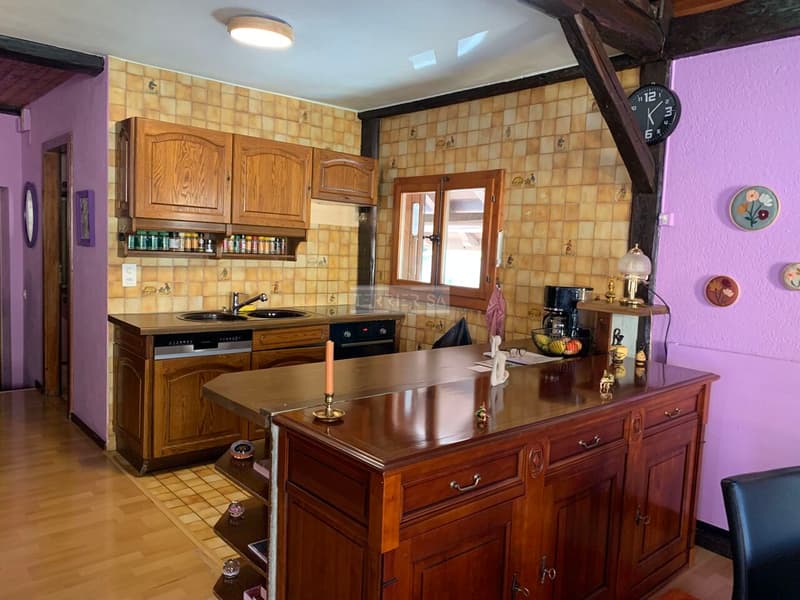 Immeuble de rendement avec 3 appartements, bureau, garage/hangar et jardin (8)