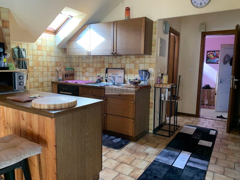 Immeuble de rendement avec 3 appartements, bureau, garage/hangar et jardin (12)