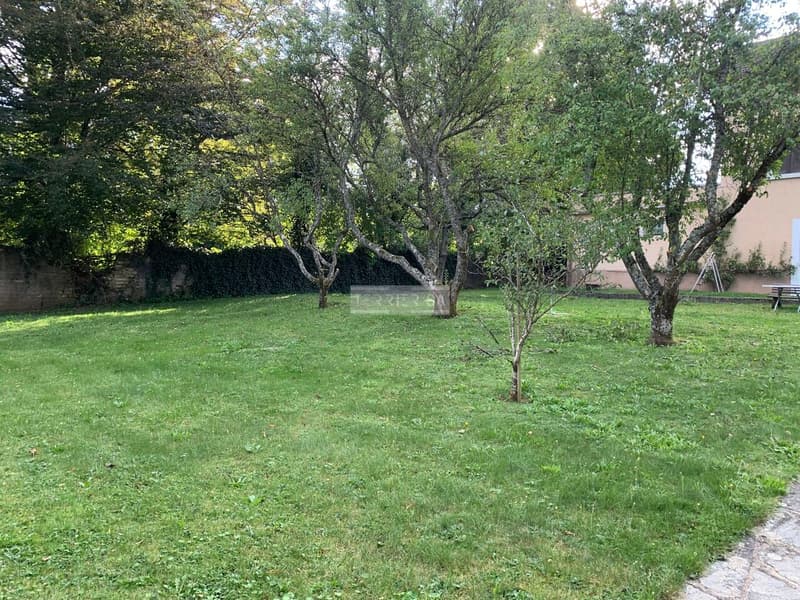Immeuble de rendement avec 3 appartements, bureau, garage/hangar et jardin (4)