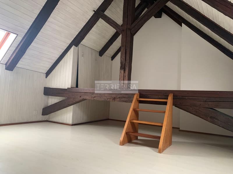 Duplex en PPE de 5 pièces avec entrée indépendante (10)