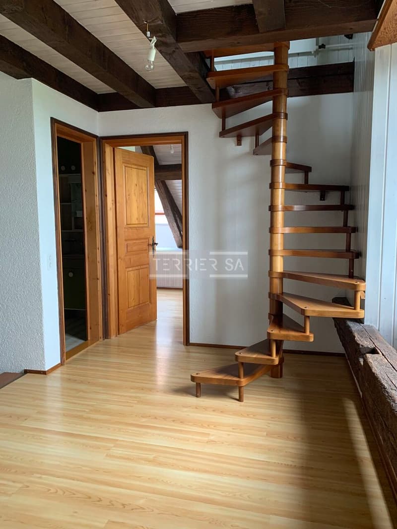 Duplex en PPE de 5 pièces avec entrée indépendante (9)