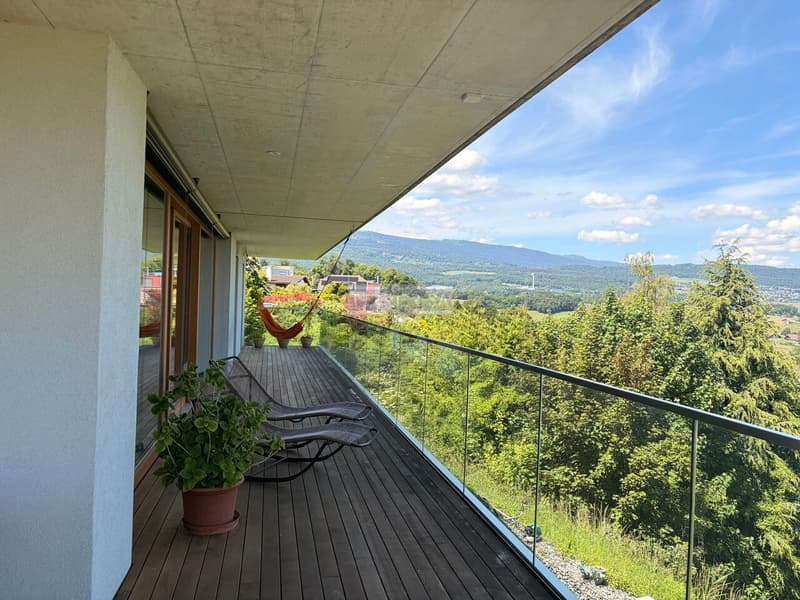 Attique de standing de 6,5 pièces avec grande terrasse (8)