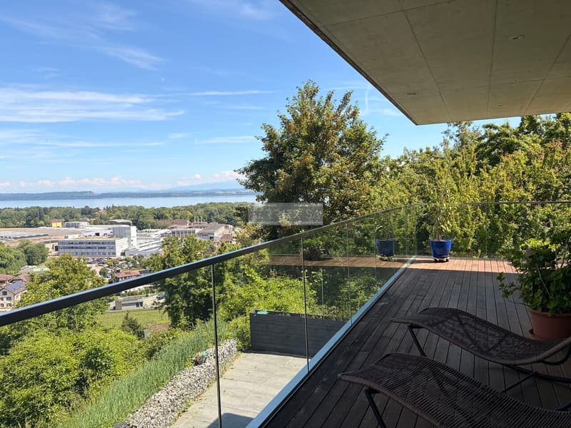 Attique de standing de 6,5 pièces avec grande terrasse (1)